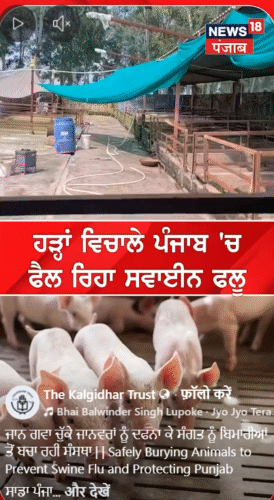 Kalgidhar Society Acts to Prevent Disease After Punjab Floods 2025
