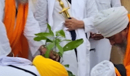 Planting Hope – 100 Mango Trees donated for Punjab’s Future