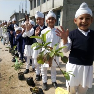 1,25,000 trees planted