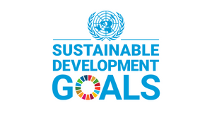UNDP Sustainable Goals