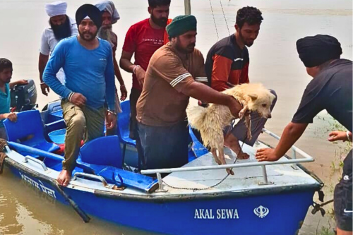 Akal Sewa Baru Sahib Punjab Flood Relief 25