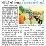 WhatsApp Image 2025-09-02 at 10.04.35 AM