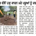 WhatsApp Image 2025-09-09 at 7.13.45 AM