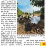 WhatsApp Image 2025-09-14 at 7.49.42 AM