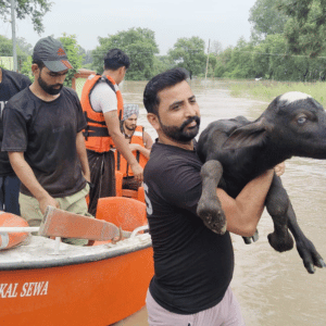 Veterinary Medical Camps