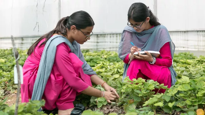 Akal College of Agriculture students in Farms